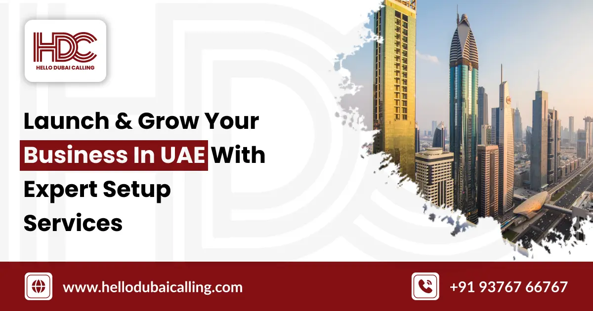 Comprehensive Business Setup Services in Dubai Across the UAE